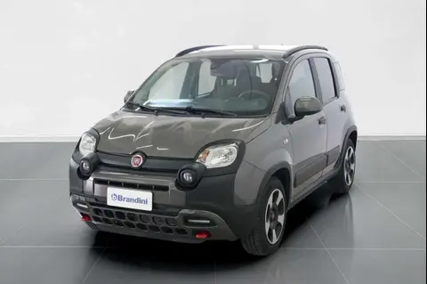 Annonce FIAT PANDA Hybride 2023 d'occasion 