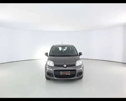 Used FIAT PANDA Hybrid 2020 Ad 