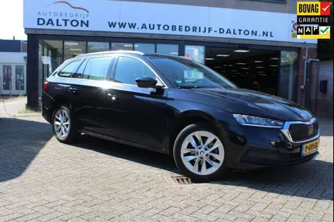 Used SKODA OCTAVIA Petrol 2021 Ad 