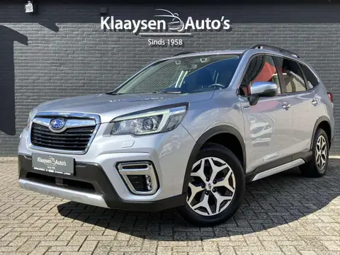 Annonce SUBARU FORESTER Essence 2019 d'occasion 