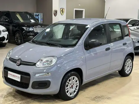 Used FIAT PANDA Petrol 2019 Ad 