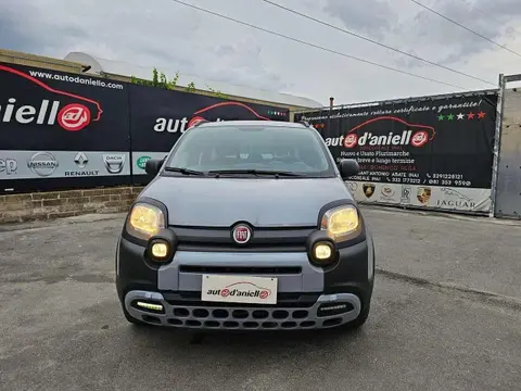 Used FIAT PANDA Hybrid 2021 Ad 