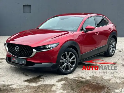 Annonce MAZDA CX-30 Essence 2021 d'occasion 