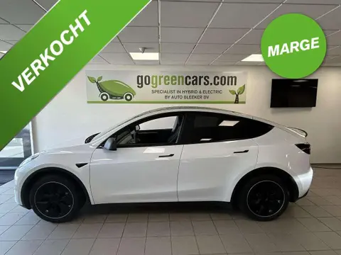 Used TESLA MODEL Y Electric 2023 Ad 