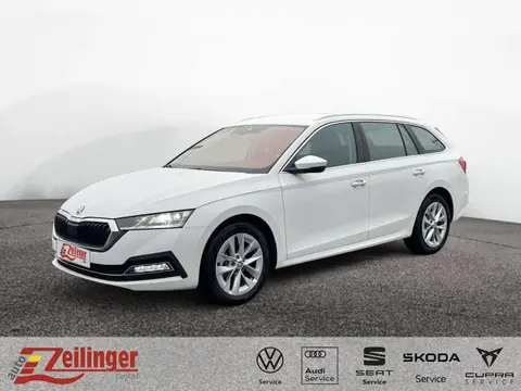 Used SKODA OCTAVIA Petrol 2023 Ad 