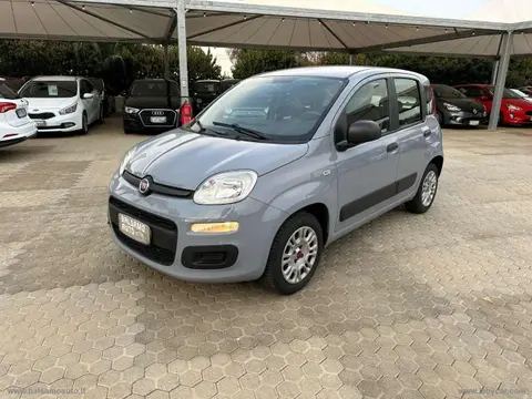 Used FIAT PANDA Petrol 2018 Ad 