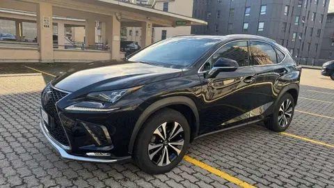 Annonce LEXUS NX Hybride 2019 d'occasion 