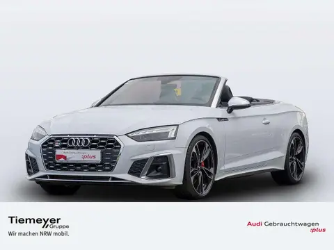 Used AUDI S5 Petrol 2020 Ad 