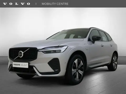 Annonce VOLVO XC60 Hybride 2024 d'occasion 