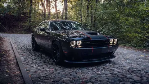 Annonce DODGE CHALLENGER Essence 2019 d'occasion 