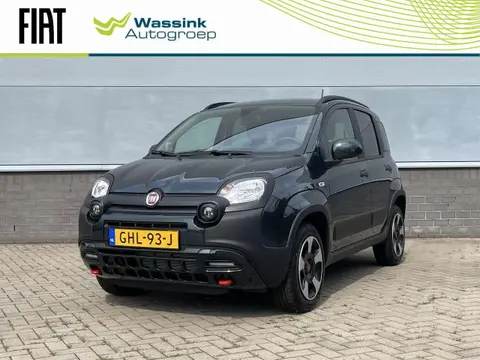 Used FIAT PANDA Hybrid 2024 Ad 