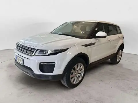 Used LAND ROVER RANGE ROVER EVOQUE Diesel 2019 Ad 