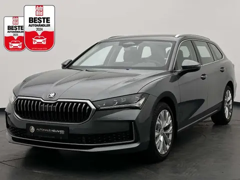 Used SKODA SUPERB Diesel 2024 Ad 