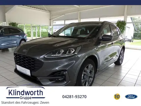 Used FORD KUGA Hybrid 2024 Ad 