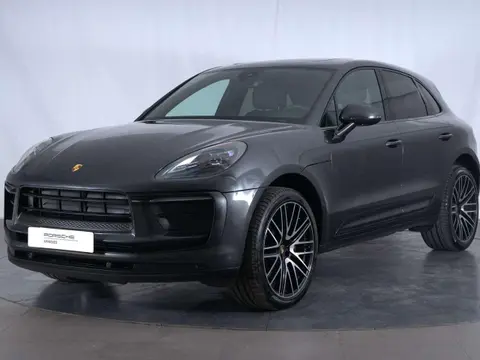 Annonce PORSCHE MACAN Essence 2024 d'occasion 