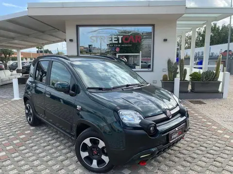 Annonce FIAT PANDA Hybride 2024 d'occasion 