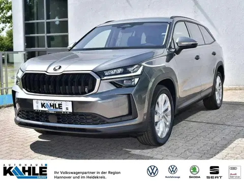 Used SKODA KODIAQ Diesel 2024 Ad Germany