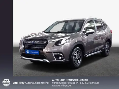 Used SUBARU FORESTER Hybrid 2023 Ad 