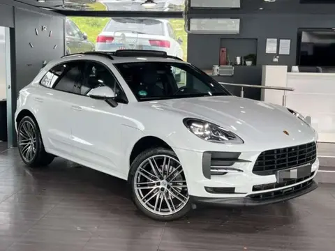 Used PORSCHE MACAN Petrol 2021 Ad 