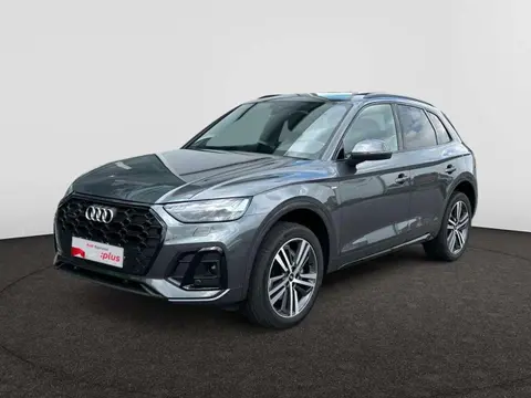 Used AUDI Q5 Diesel 2023 Ad Belgium