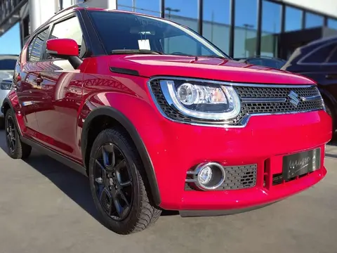 Used SUZUKI IGNIS Petrol 2018 Ad 