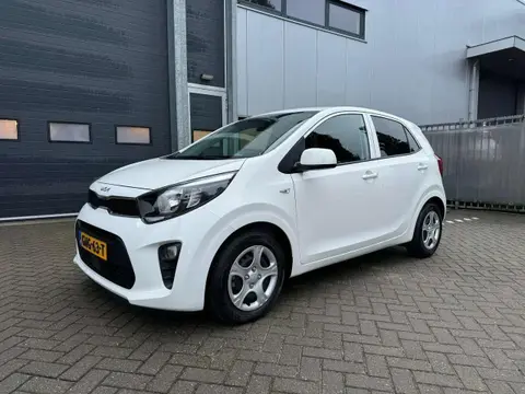 Annonce KIA PICANTO Essence 2023 d'occasion 