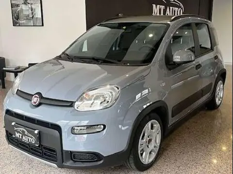 Annonce FIAT PANDA Hybride 2022 d'occasion 