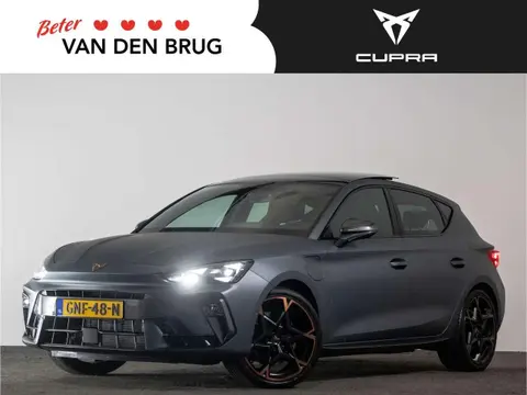 Annonce CUPRA LEON Hybride 2024 d'occasion 