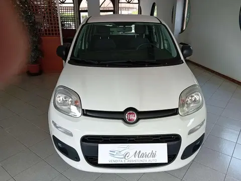 Used FIAT PANDA Petrol 2019 Ad 