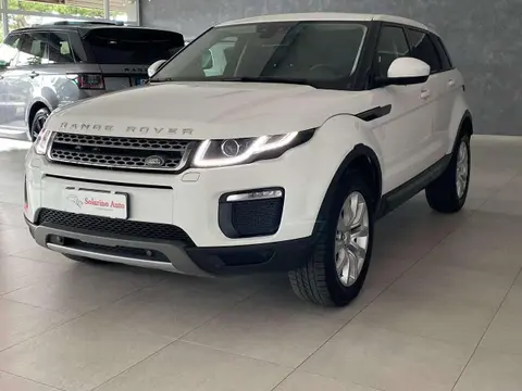 Used LAND ROVER RANGE ROVER EVOQUE Diesel 2019 Ad 