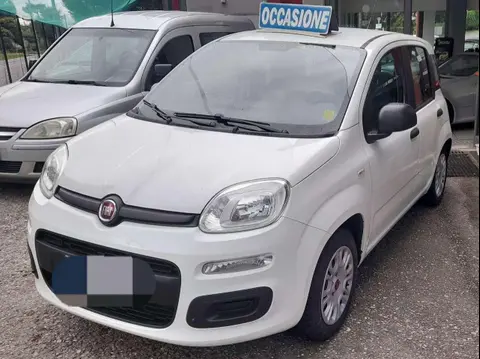 Annonce FIAT PANDA Essence 2017 d'occasion 