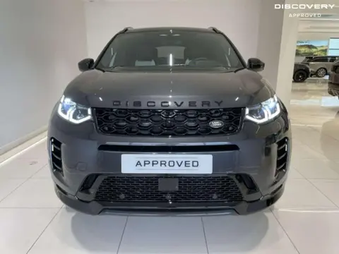 Annonce LAND ROVER DISCOVERY  2023 d'occasion 