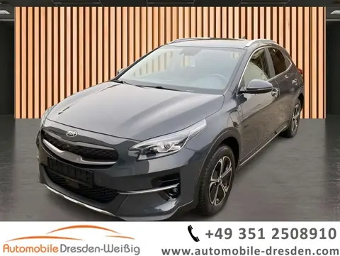 Used KIA XCEED Hybrid 2021 Ad 