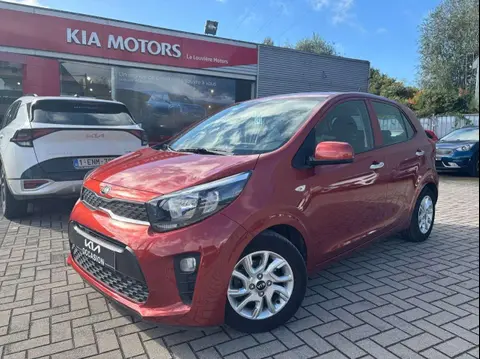 Annonce KIA PICANTO Essence 2017 d'occasion 