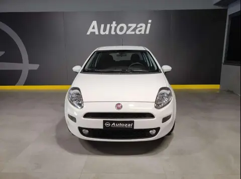 Annonce FIAT PUNTO Essence 2016 d'occasion 