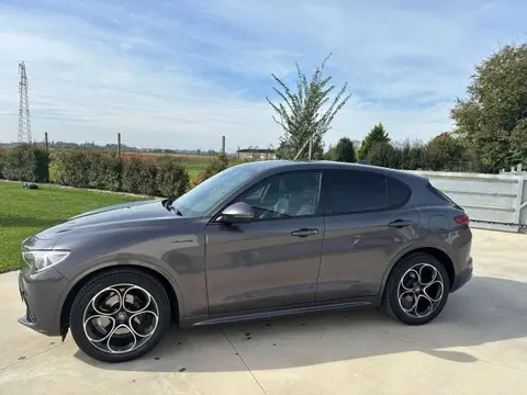 Used ALFA ROMEO STELVIO Diesel 2021 Ad 