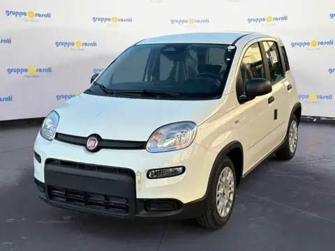 Used FIAT PANDA Hybrid 2024 Ad 