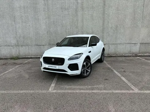 Annonce JAGUAR E-PACE Hybride 2024 d'occasion 