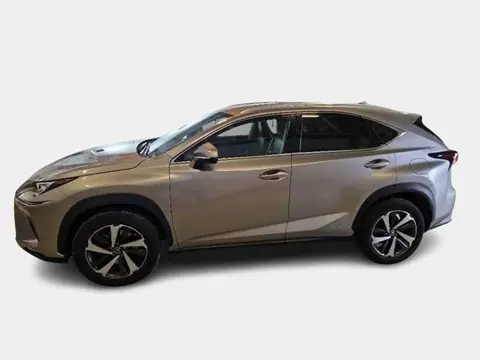 Used LEXUS NX Hybrid 2020 Ad 