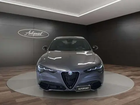 Annonce ALFA ROMEO STELVIO Diesel 2024 d'occasion 