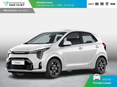 Annonce KIA PICANTO Essence 2024 d'occasion 