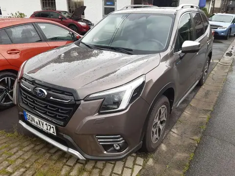 Annonce SUBARU FORESTER Hybride 2024 d'occasion 