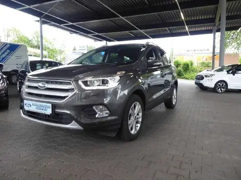 Annonce FORD KUGA Diesel 2018 d'occasion 