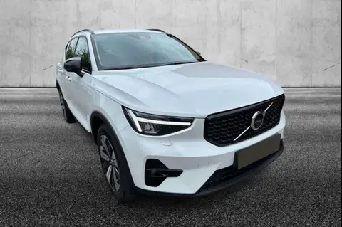 Used VOLVO XC40 Hybrid 2022 Ad 