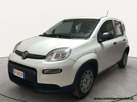 Annonce FIAT PANDA Hybride 2023 d'occasion 