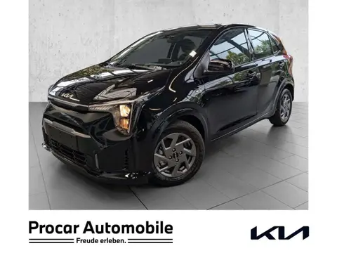 Used KIA PICANTO Petrol 2024 Ad 