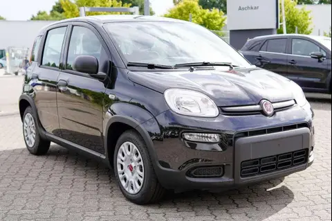 Annonce FIAT PANDA Essence 2024 d'occasion 