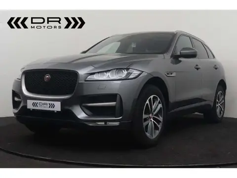 Used JAGUAR F-PACE Diesel 2017 Ad 