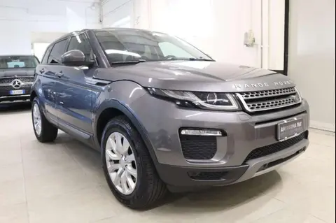 Used LAND ROVER RANGE ROVER EVOQUE Diesel 2017 Ad 