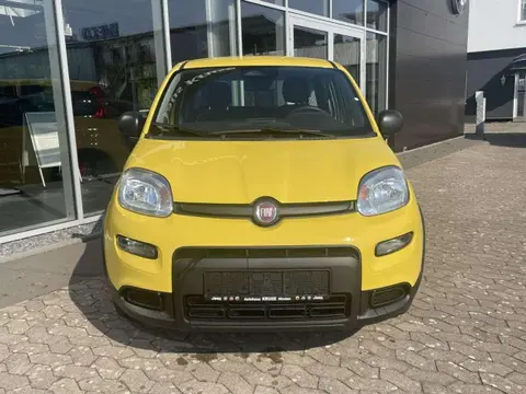 Annonce FIAT PANDA Essence 2024 d'occasion 